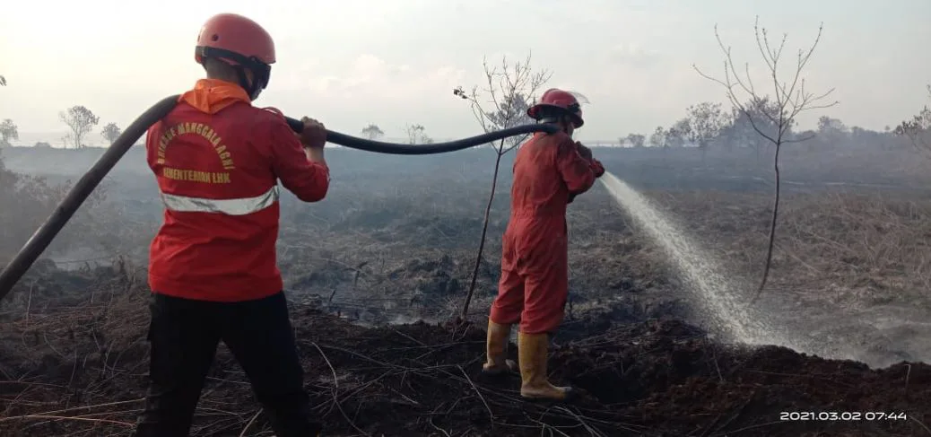 2 Hektar Lahan Terbakar Berhasil Ditaklukkan Manggala Agni di Rangsang Meranti