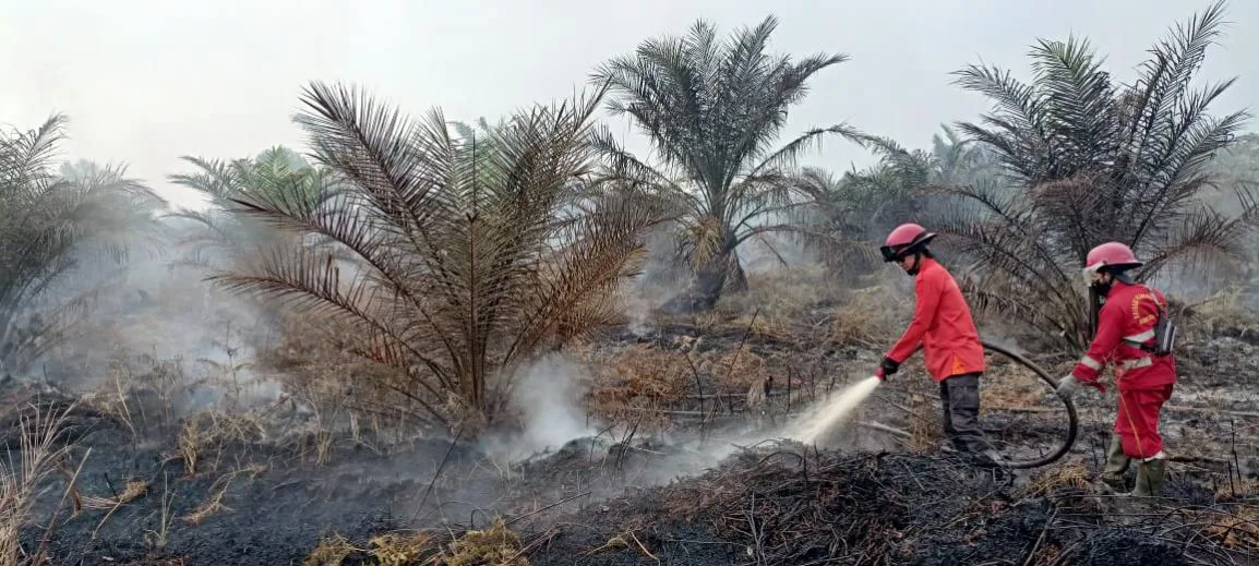 2,5 Hektar Lahan di Rawang Air Putih Siak Terbakar