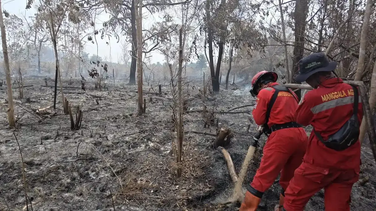 7 Ha Lahan di Sungai Apit Siak Terbakar Berhasil Dipadamkan