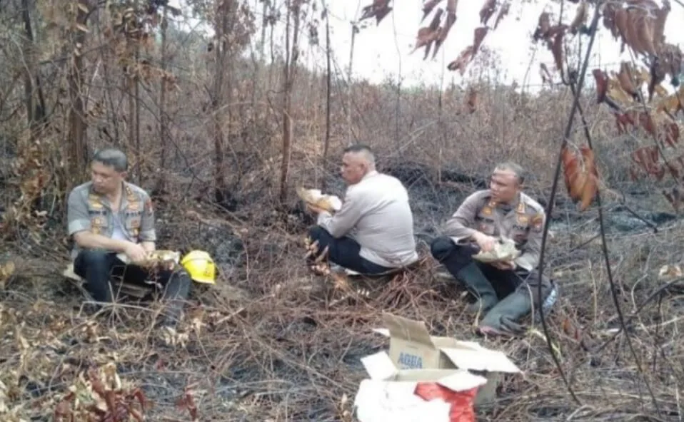 Akhirnya Kebakaran Hutan di Pulau Rupat, Bengkalis, Berhasil Dipadamkan Setelah 17 Hari Membara