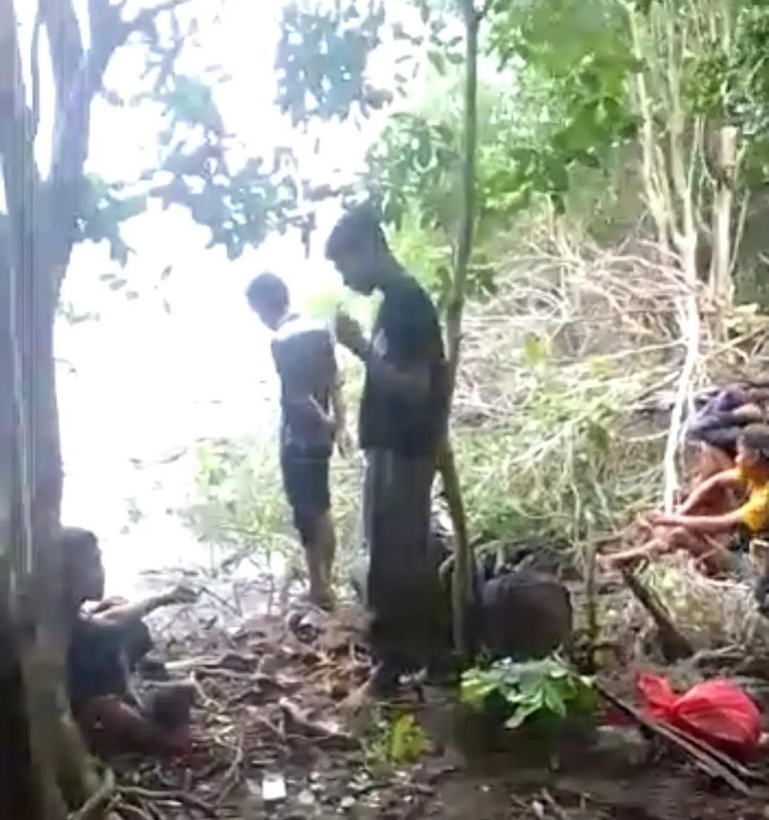 Cari Kayu Mahang, Pekerja Asal Meranti Tewas  Diterkam Harimau di Sungai Apit Siak