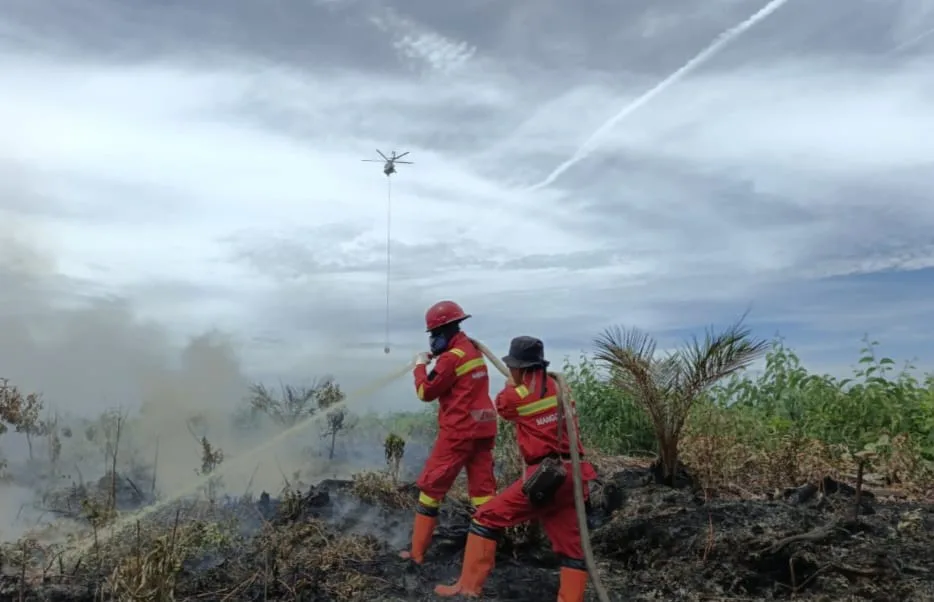 Dikepung Angin Kencang dan Bara Bawah Tanah, Manggala Agni Ekstra Kerja Keras Jinakkan Karhutla Rantau Bais