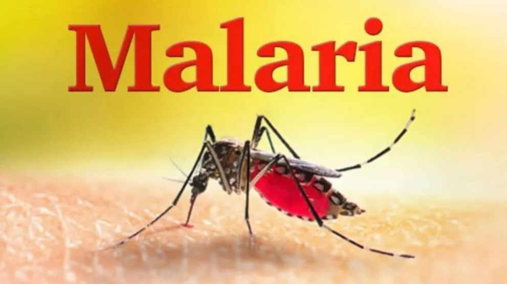 Kasus Malaria Meningkat di Inhil, Pemerintah Tetapkan Status Kejadian Luar biasa