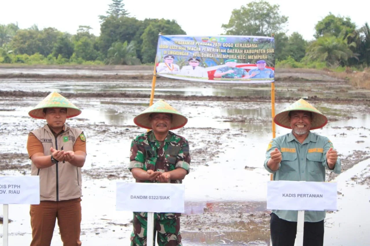 Ketua DPRD SIak Apresiasi Strategi Dandim 0322/Siak Menjaga Ketahanan Pangan di Kabupaten Siak