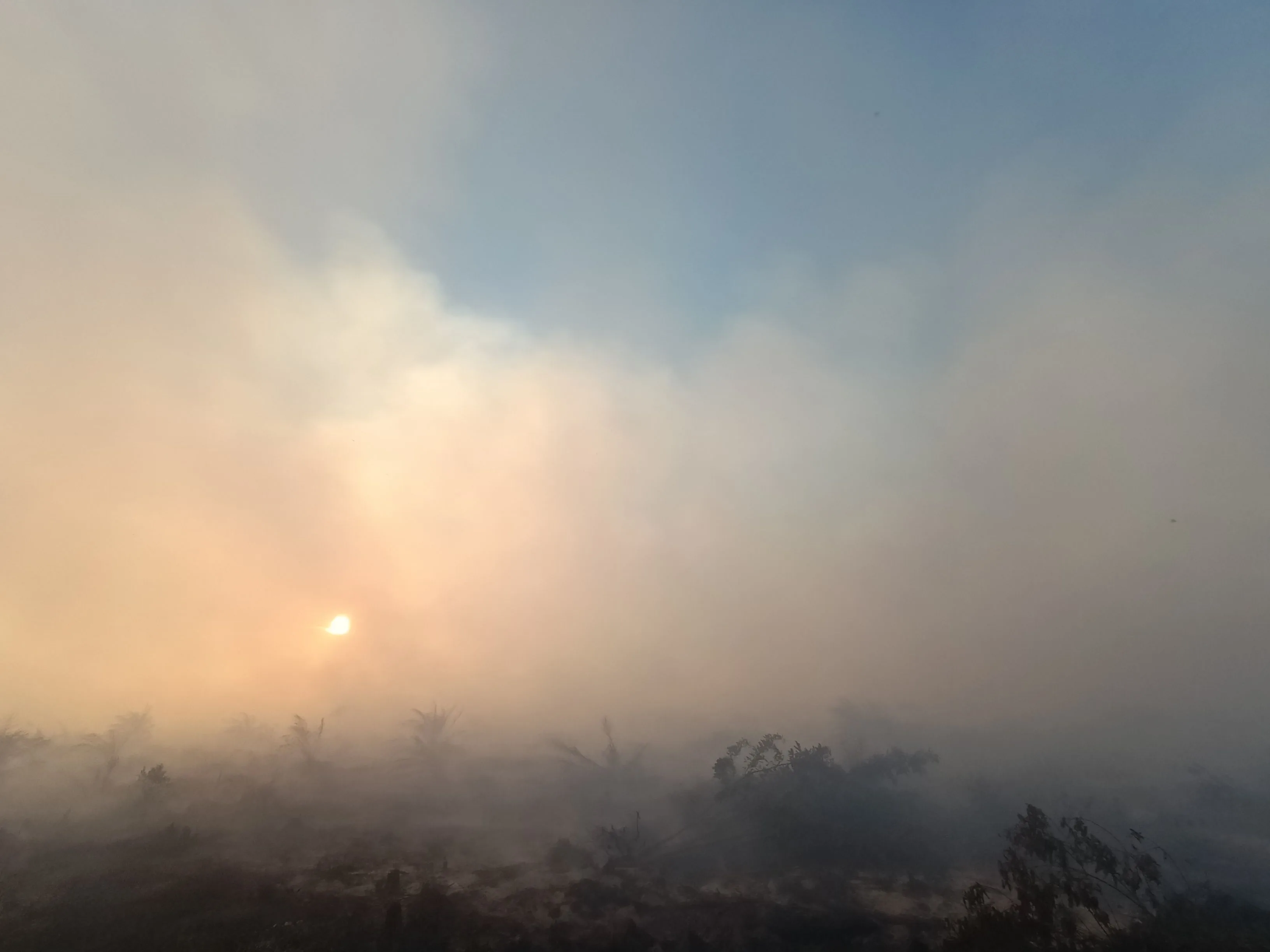 Lahan Terbakar di Bunga Raya Disebut Masuk Wilayah HGU PT TKWL