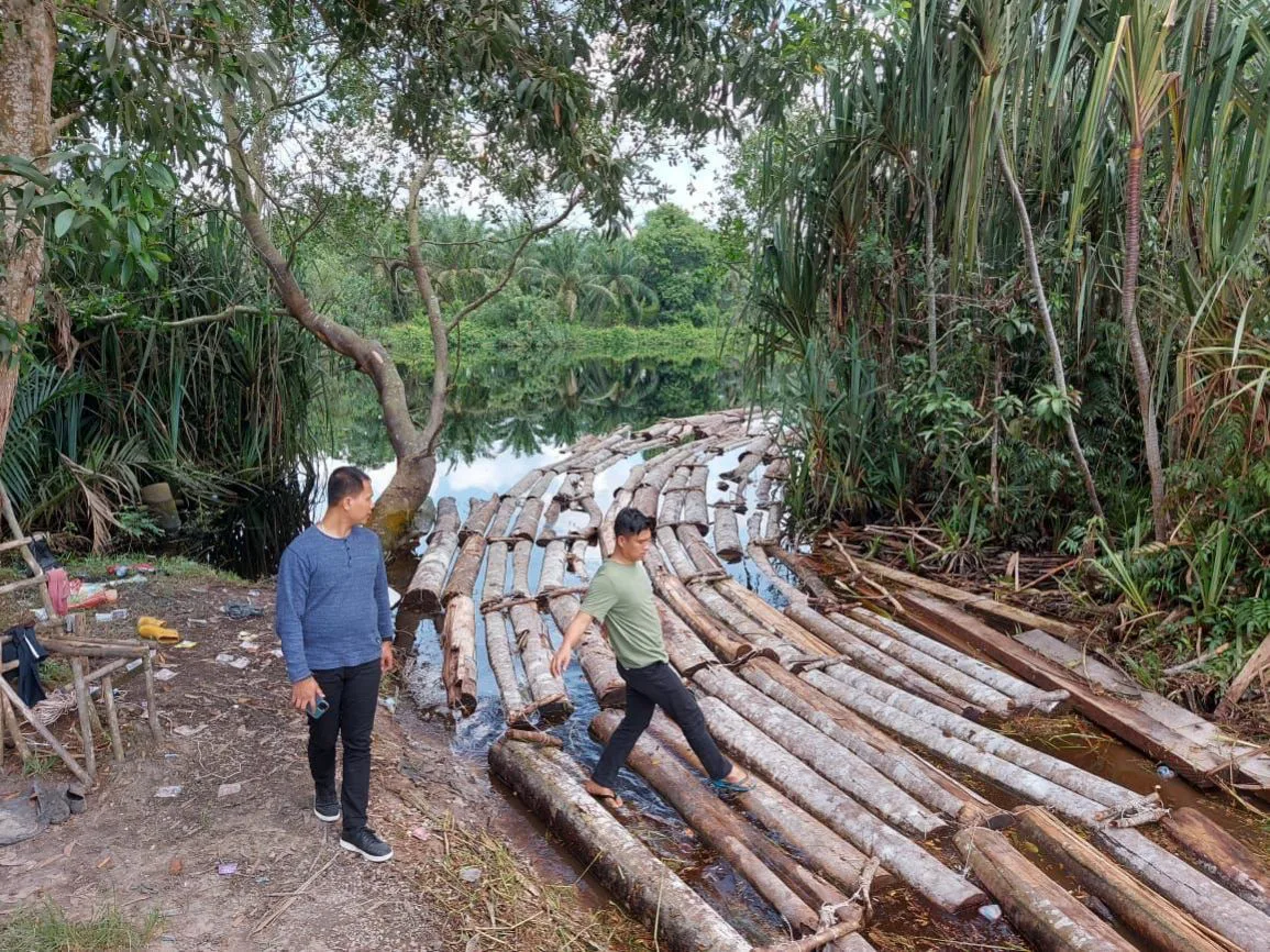 Mafia Kayu Anak Jenderal di Bengkalis Digulung Polda Riau