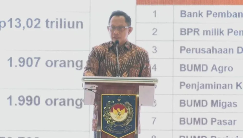 Mendagri Ingatkan Pemda Cari Peluang Tingkatkan Pendapatan Daerah