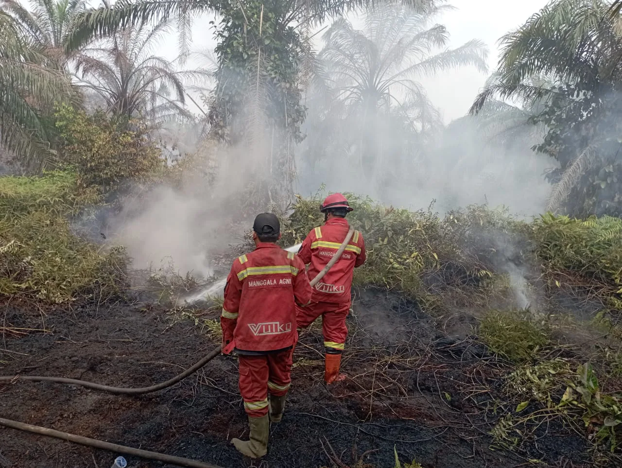 Musim Kemarau, 11 Daerah di Riau Tetapkan Status Siaga Karhutla