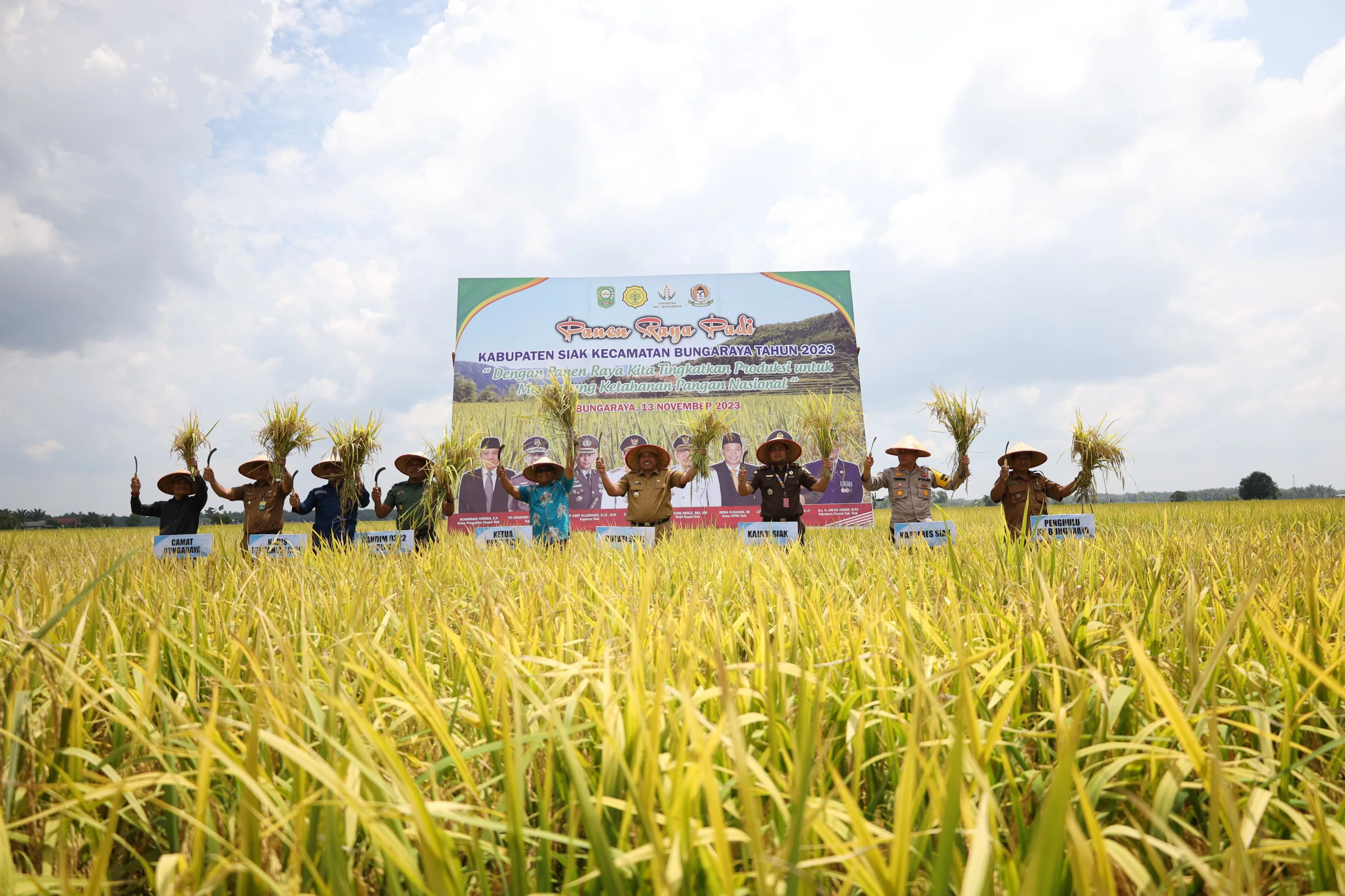Panen Raya Padi di Bungaraya, Alfedri :  Lumbung Padi di Kabupaten Siak