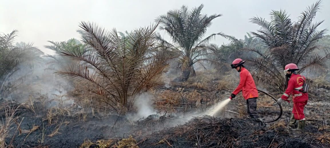 2,5 Hektar Lahan di Rawang Air Putih Siak Terbakar
