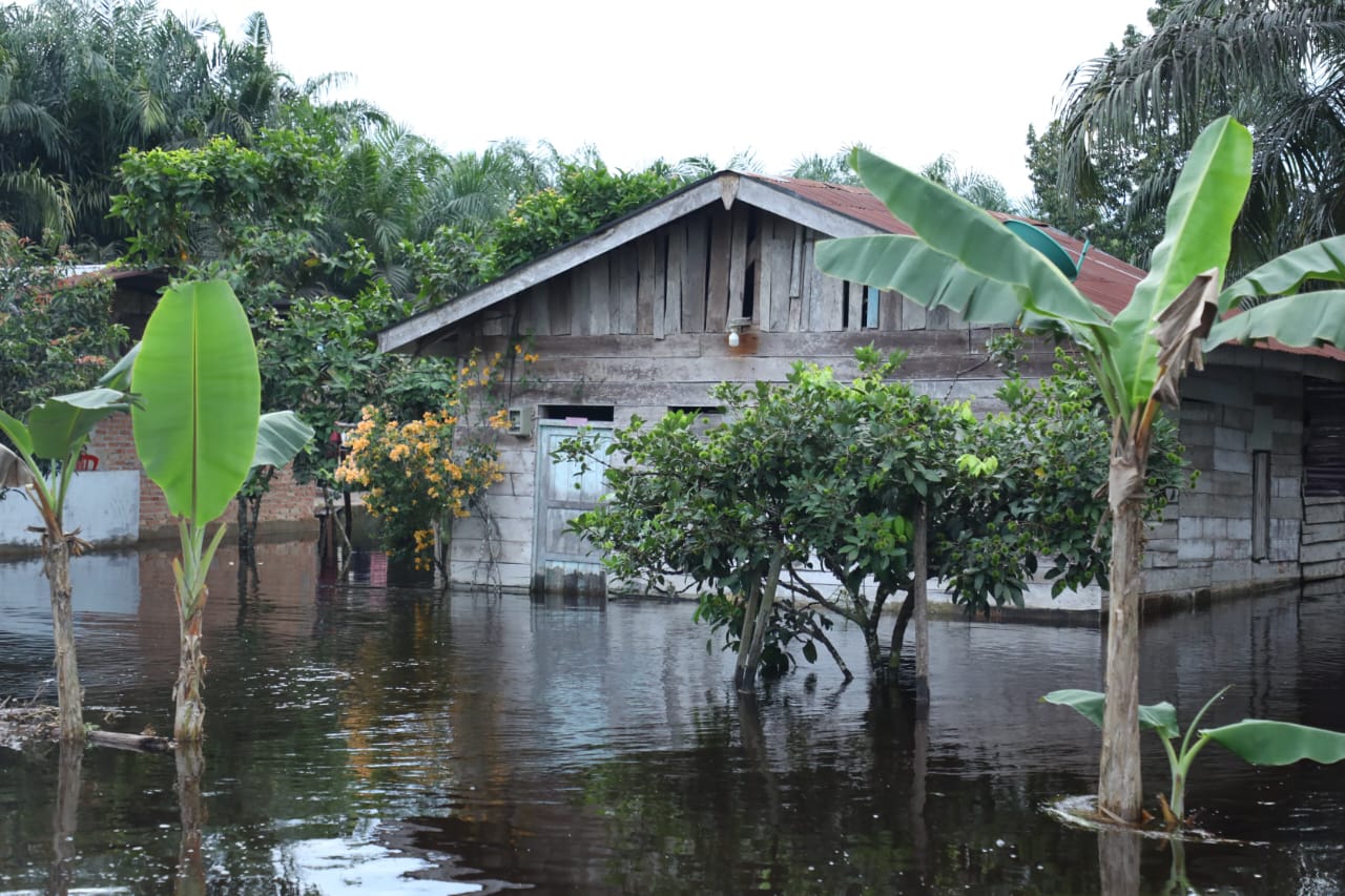 Diguyur Hujan Tiga Kecamatan di Siak Terdampak Banjir