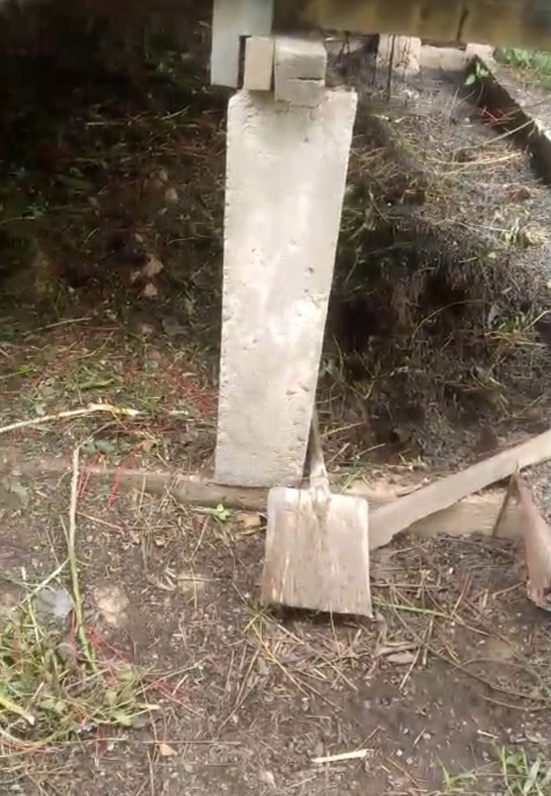 Dua Ekor Kambing Milik Warga Benteng Hulu Tewas Dimangsa Harimau