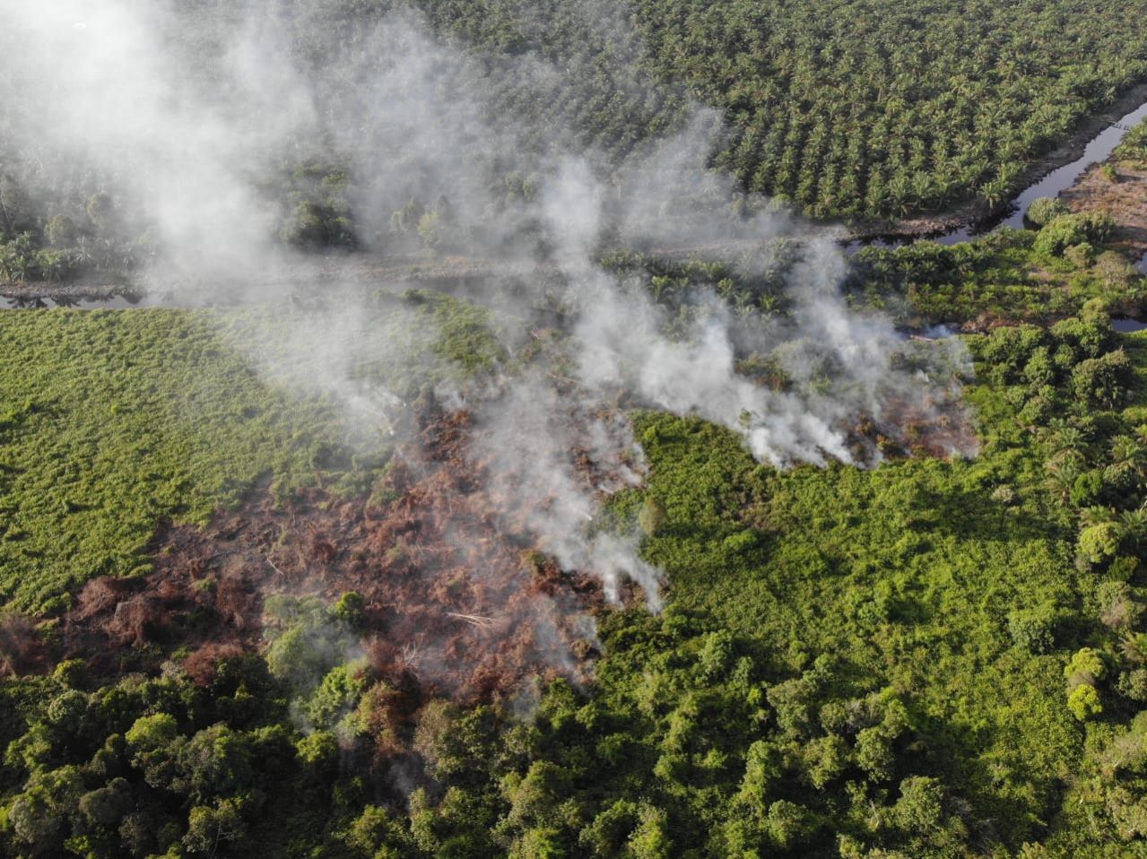 Dua Hektar Lahan di Benteng Hilir Siak Kembali Terbakar, Ihsan : Lahan Sudah Tiga Kali Terbakar