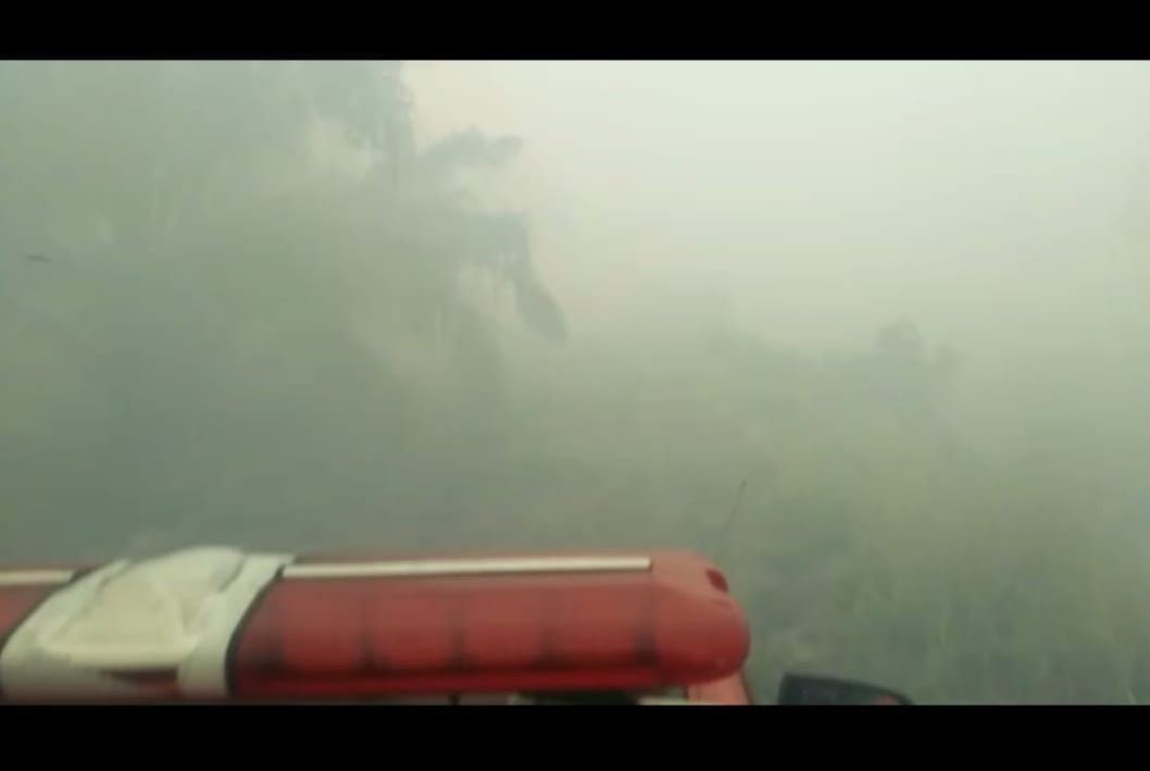 Hutan dan Lahan di Bunga Raya Terbakar Lokasinya Tak Jauh Dari Areal Perusahaan, Jarak Pandang Hanya 2 Meter
