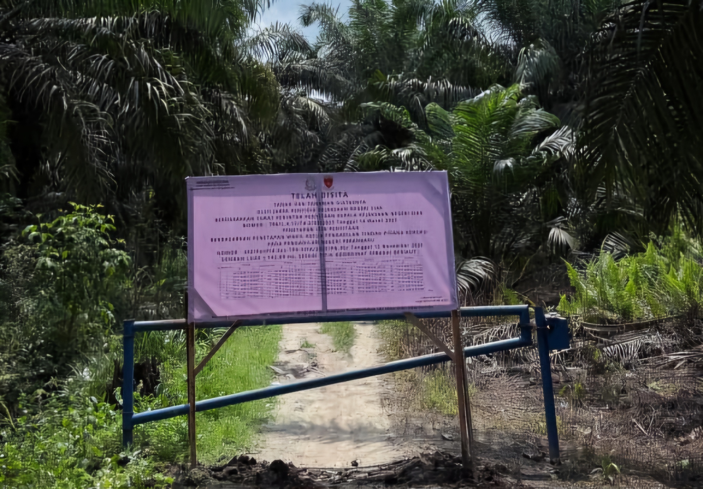 Kejari Siak Sita 142,69 Ha Lahan Terkait Kredit Macet Bank BUMN