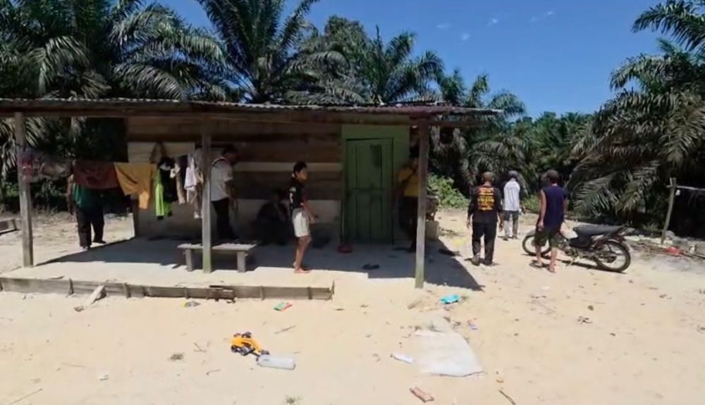 Kronologis Citra Bocah di Pekanbaru Diserang Gajah Liar dan Mengalami Luka Serius