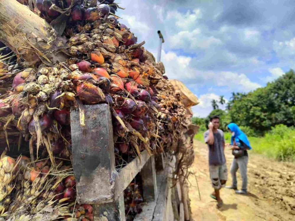 Riau Didorong Memaksimalkan Peluang Ekonomi Hijau di Tengah Goncangan Ekonomi Global