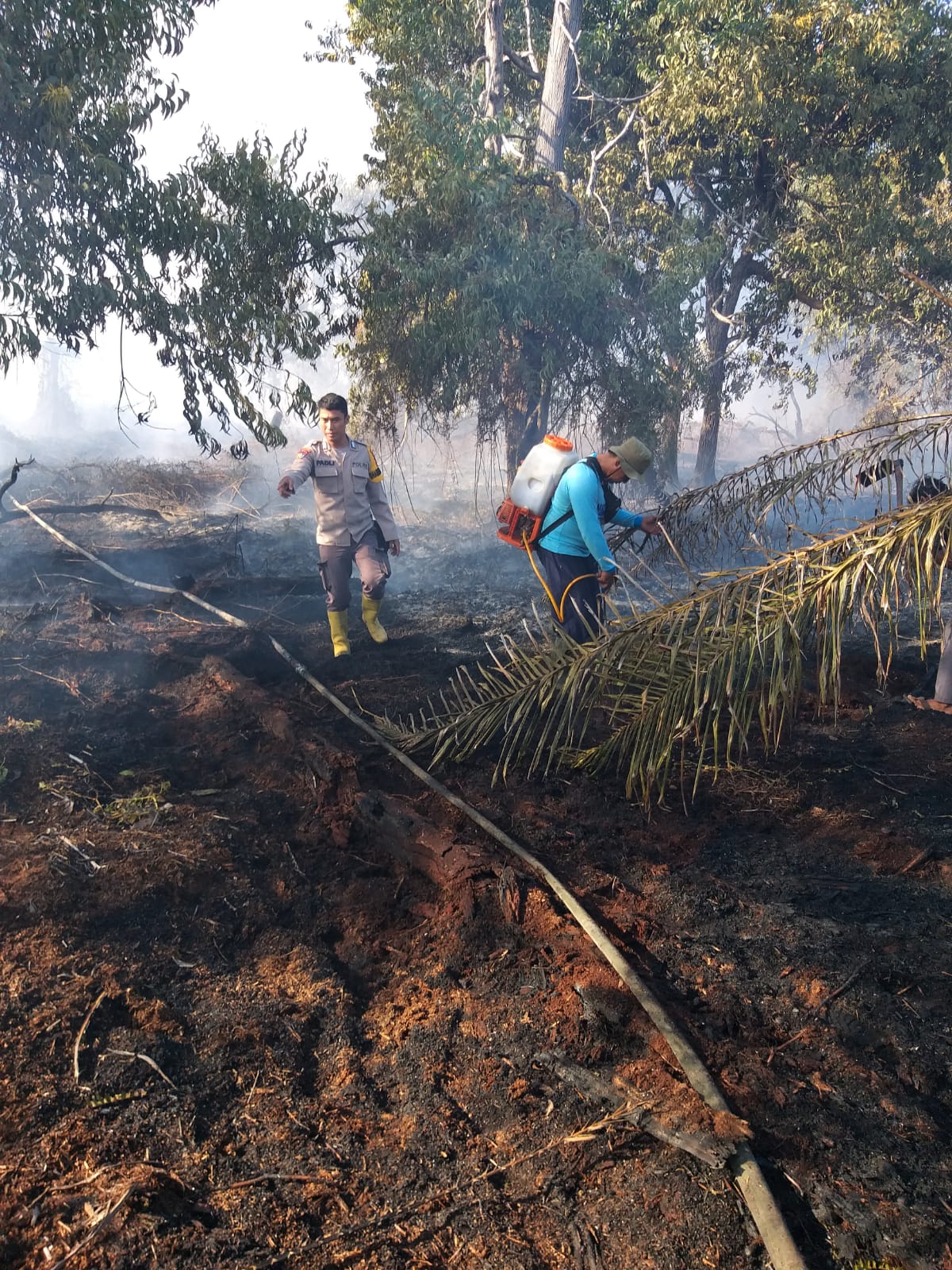 Satu Hektar Lahan di Benayah Pusako Terbakar, Polisi Gerak Cepat Padamkan Api